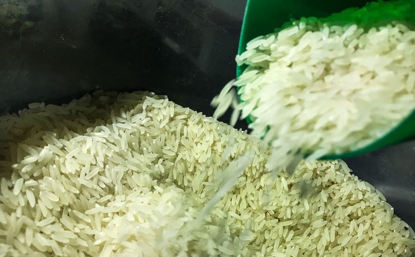 Governo descarta novo leilão de arroz até alta de preços