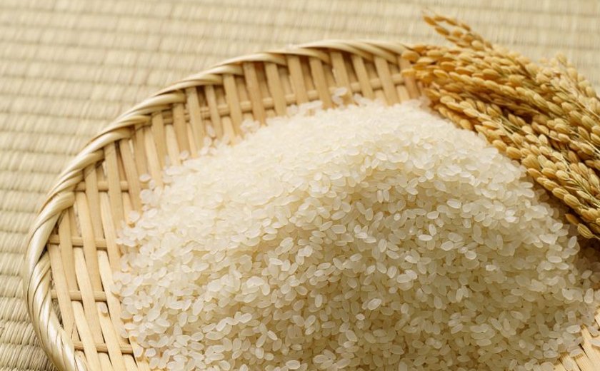 Por que você não pode congelar o arroz por muito tempo? Especialistas tiram 5 maiores dúvidas (e erros) na cozinha com o alimento