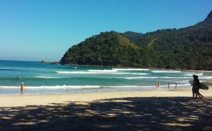Empresa aciona Justiça para construir em área protegida do litoral norte de SP