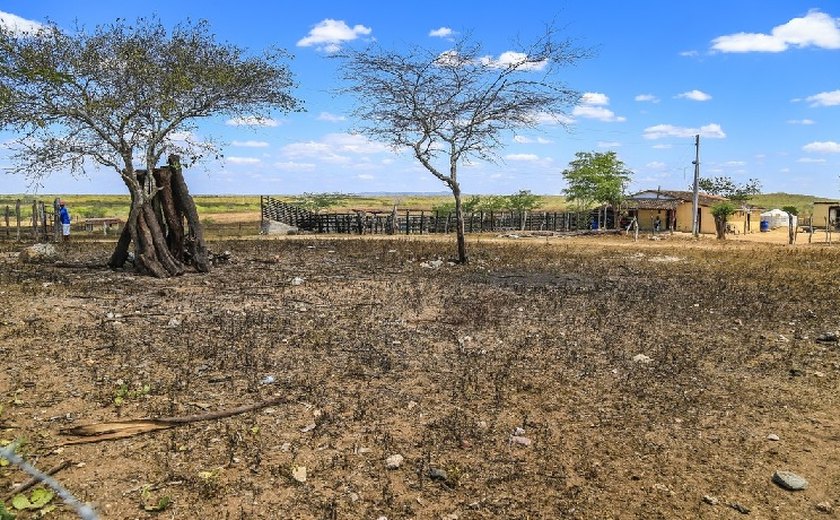 Em Alagoas 24 municípios estão em estado de emergência
