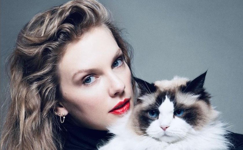 'Solteirona dos gatos', Taylor Swift tem felina avaliada em US$ 97 milhões e com nome de personagem de série; entenda