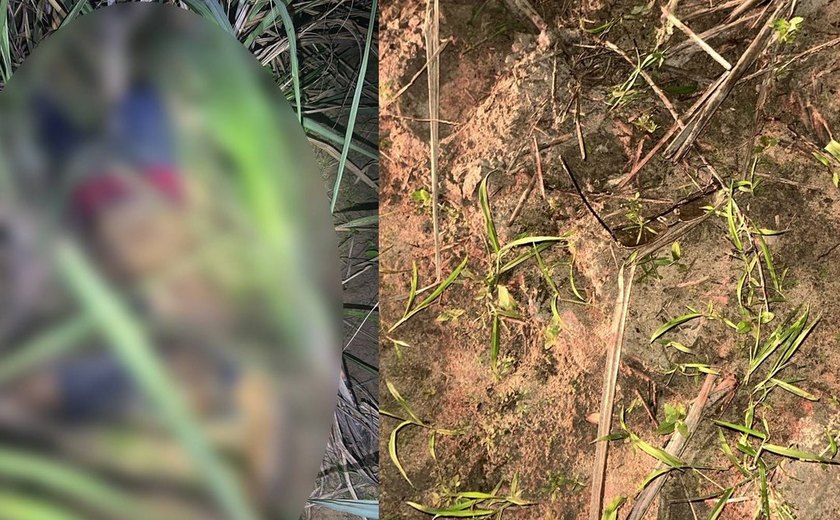 Jovem confessa assassinato de professor em São Sebastião após desentendimento durante viagem
