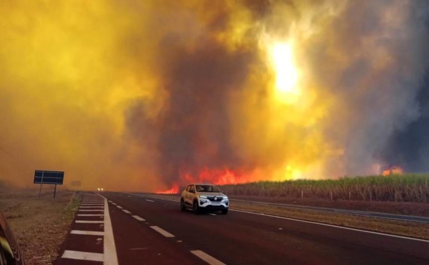 Governo de São Paulo mantém 48 cidades em alerta máximo para incêndios