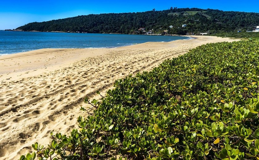 Bandeira azul avança nas praias e marinas brasileiras