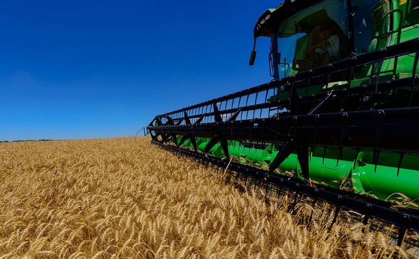 Para Abag, agro vai puxar PIB em 2025 e isenção de tarifas tem pouco impacto no campo