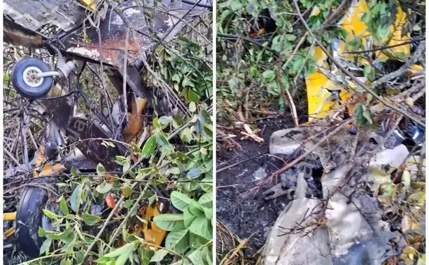 Morre piloto de avião agrícola que caiu nas terras da Usina Porto Rico em Campo Alegre