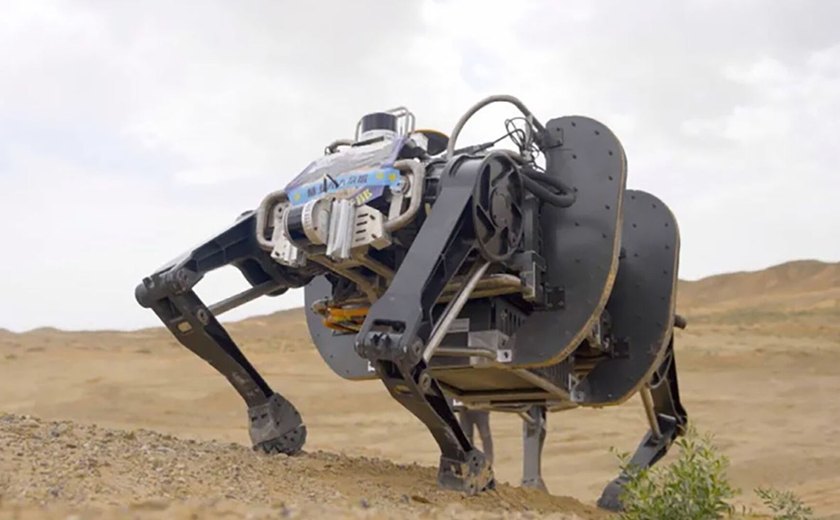 Cientistas chineses desenvolvem 'gato-robô' para estudar asteroides, informa mídia (FOTOS)