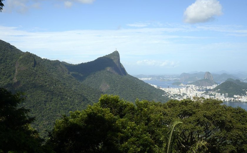 Número de incêndios florestais no Rio já aumentou 85% neste ano