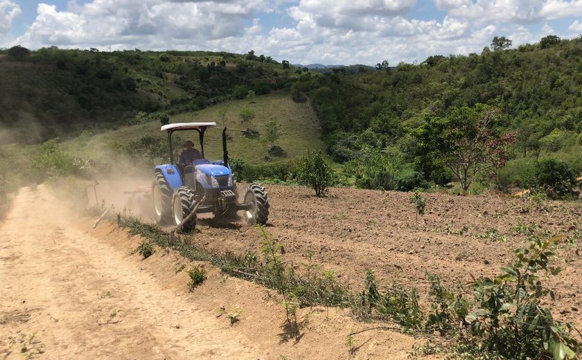 Prefeitura de Branquinha inicia recuperação de estradas da Zona Rural