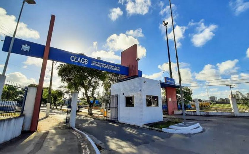MPAL ajuíza ação para garantir participação da comunidade escolar no processo de escolha de novos diretores