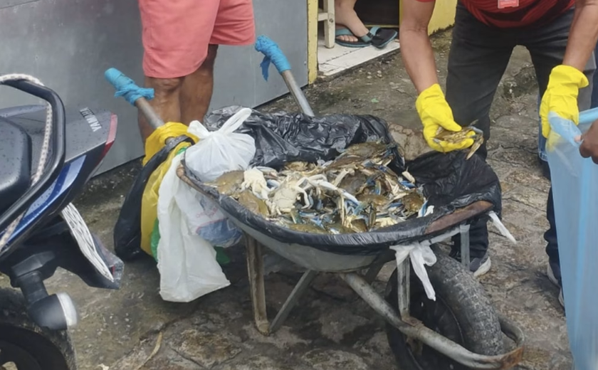 Após várias advertências, Prefeitura de Penedo apreende pescados impróprios na feira livre