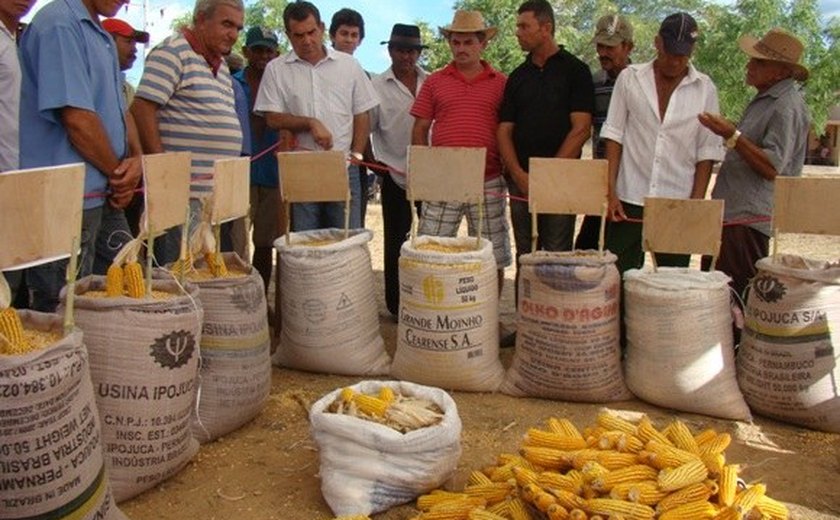 120 agricultores de Ibateguara recebem caminhão nesta quinta
