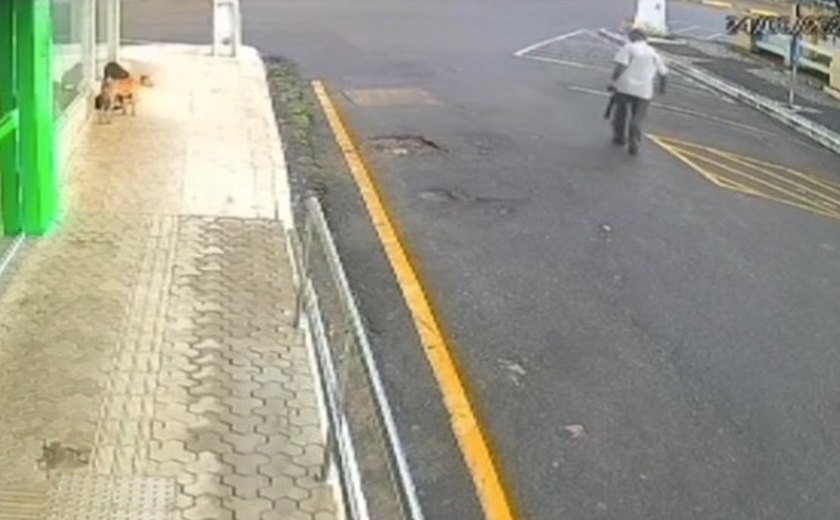 Homem que envenenou cães em Palmeira dos Índios tentou subornar policiais após prisão