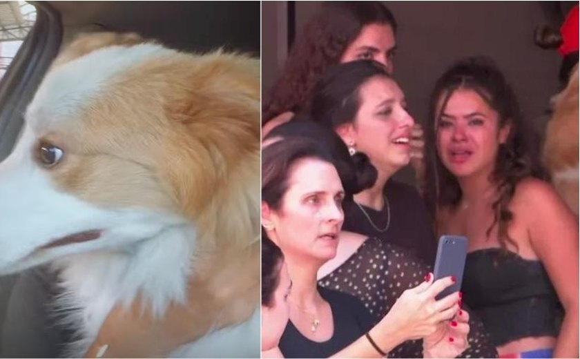 No Dia do Cachorro, veja os 'amigos de quatro patas' dos famosos