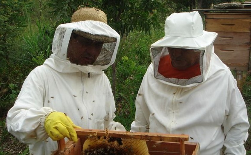 Água Branca recebe seminários sobre a criação de abelhas em Alagoas