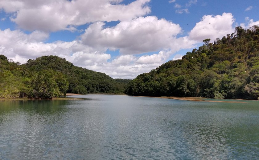Dia Mundial do Meio Ambiente: Casal ressalta preservação das matas ciliares para produção de água
