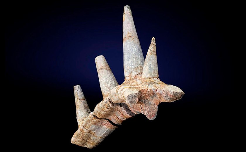 Fóssil de dinossauro blindado revela espinhos gigantes no pescoço e muda visão sobre evolução dos anquilossauros
