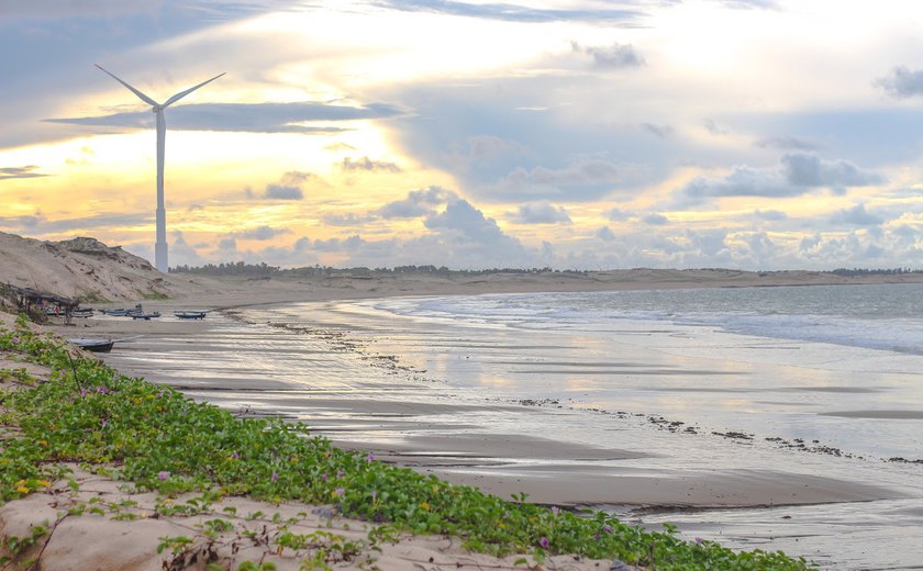 Hidrogênio verde gera corrida por eólicas no mar e preocupa pescadores no Ceará