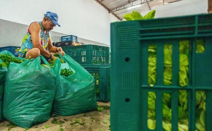 PAA: Prefeitura já investiu mais de R$ 2,7 milhões na compra de alimentos