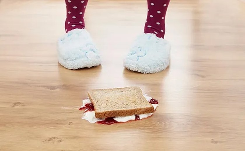 Mito ou verdade: ‘regra dos 5 segundos’ para comer um alimento que caiu no chão é real?