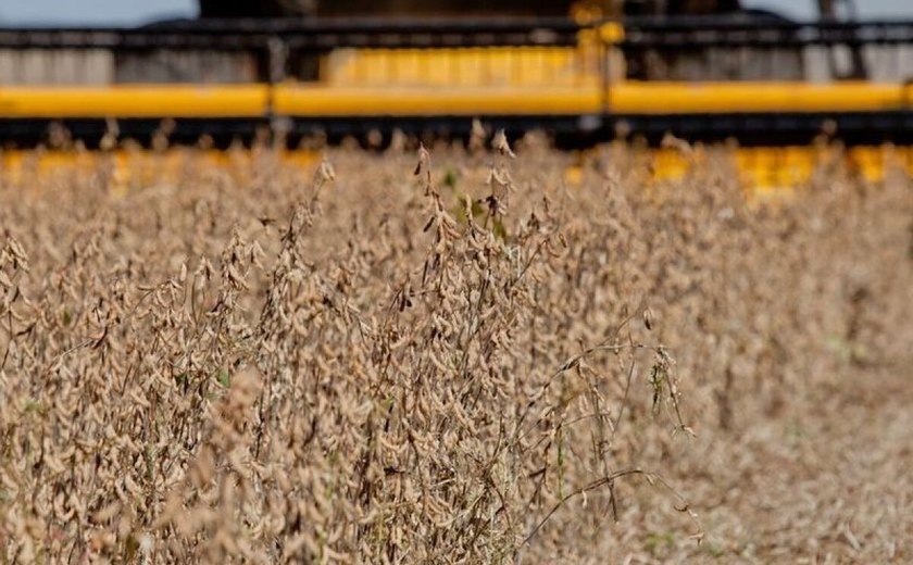 Colheita de soja 2023/24 atinge 98,8% da área no País, aponta Conab