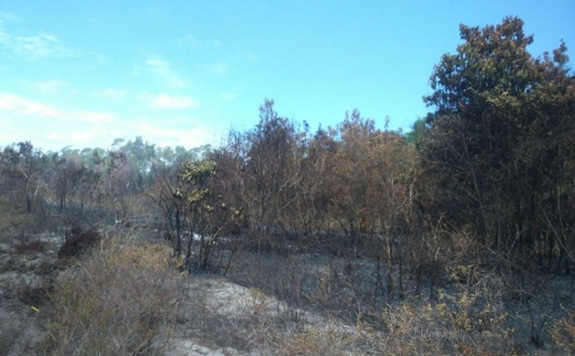 Instrução Normativa disciplina a queima controlada em propriedades rurais de Alagoas