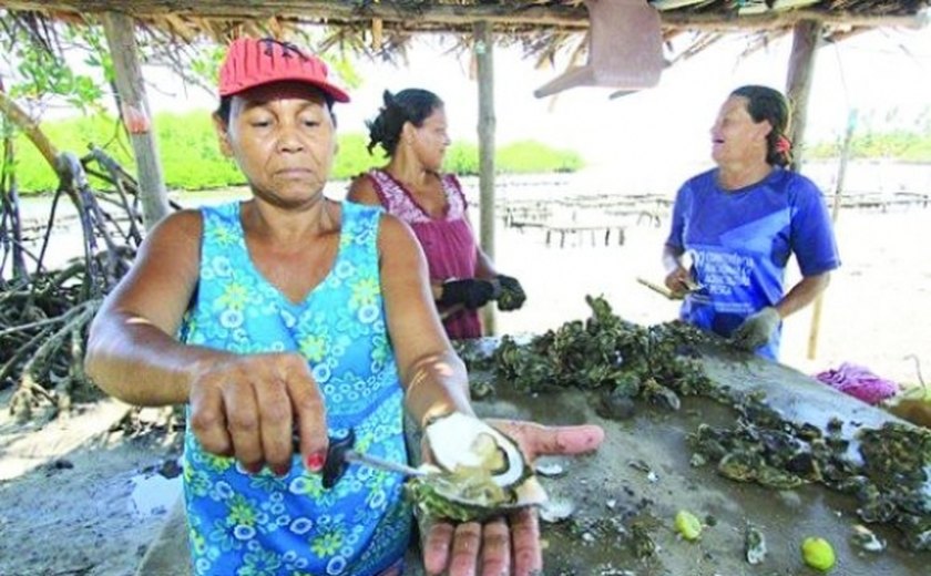 Alagoas vai sediar o I Seminário e Curso Internacional de Ostras