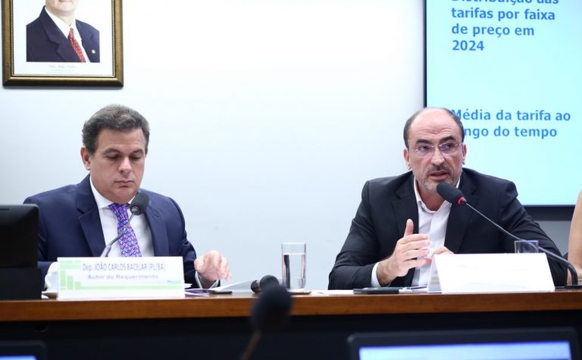 Debate na Câmara aponta tecnologia como solução para extravio de bagagens
