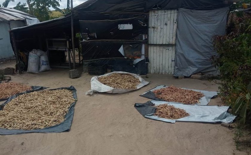Acampamento São José: 17 anos de resistência nas Terras de Atalaia