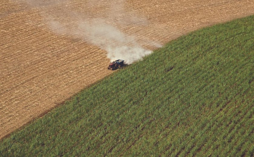 Brasil, China e Índia apresentam o maior potencial de produção de biogases, diz AIE