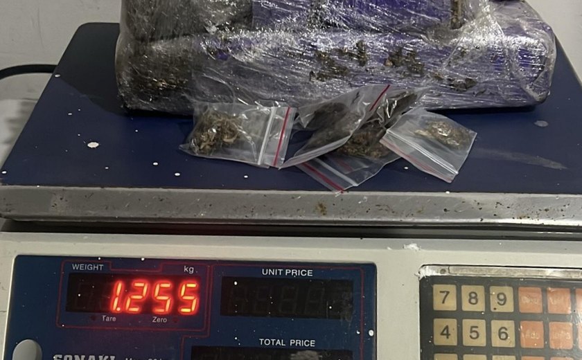 PM apreende arma, drogas e recupera moto com queixa de roubo em ações no Agreste