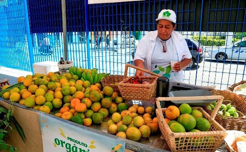 Produtores do APL Fruticultura participam de Semana Nacional do Alimento Saudável