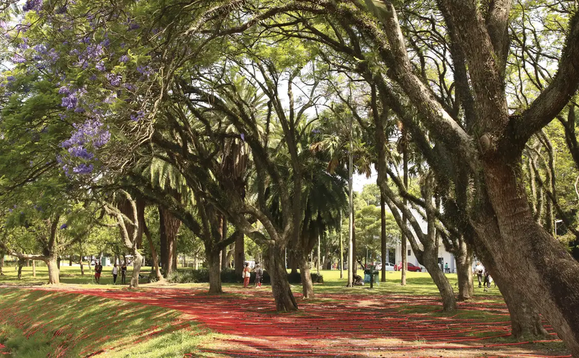 Ibirapuera: MP vê parque transformado em 'shopping center' e abre investigação