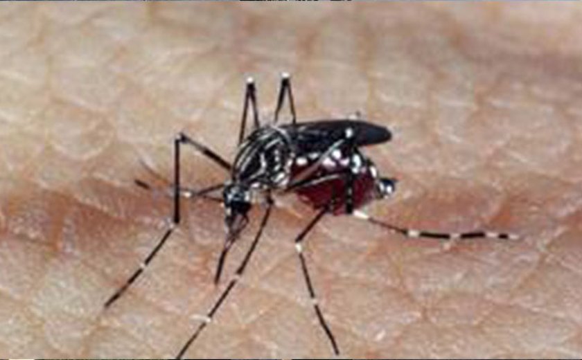 CTNBio autoriza terceira fase de testes da vacina contra dengue