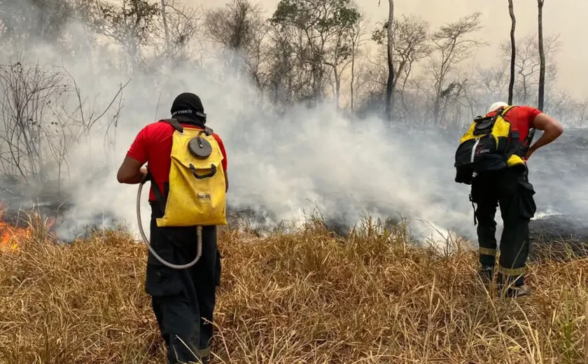 Brasil envia equipe de bombeiros para combater incêndios na Bolívia