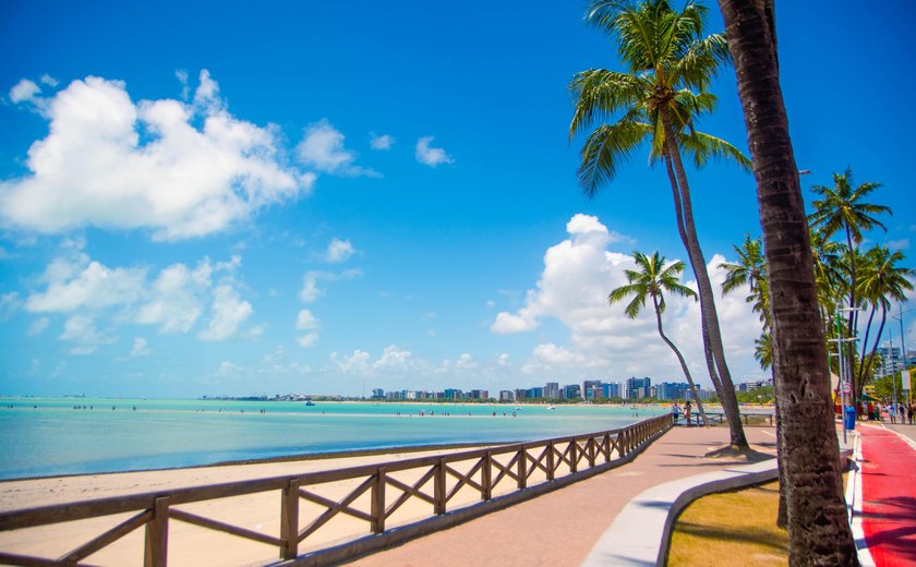 Trakto show Maceió 2023 anuncia line-up da arena Trakto