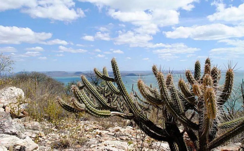 Projeto sobre o Fundo Nacional sobre Mudança do Clima está na pauta da CAE