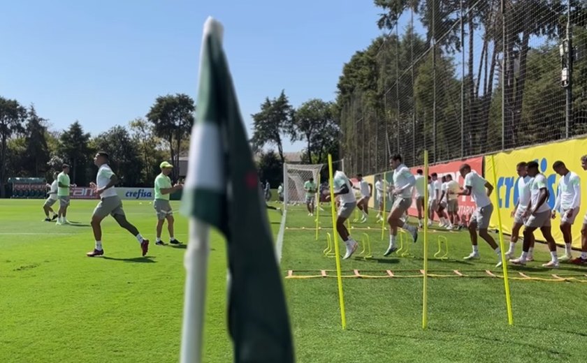 'O treino reflete no jogo', diz Naves após maior série de vitórias do Palmeiras no Brasileiro