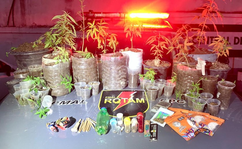 Polícia Militar prende homem e apreende 37 pés de maconha em Satuba