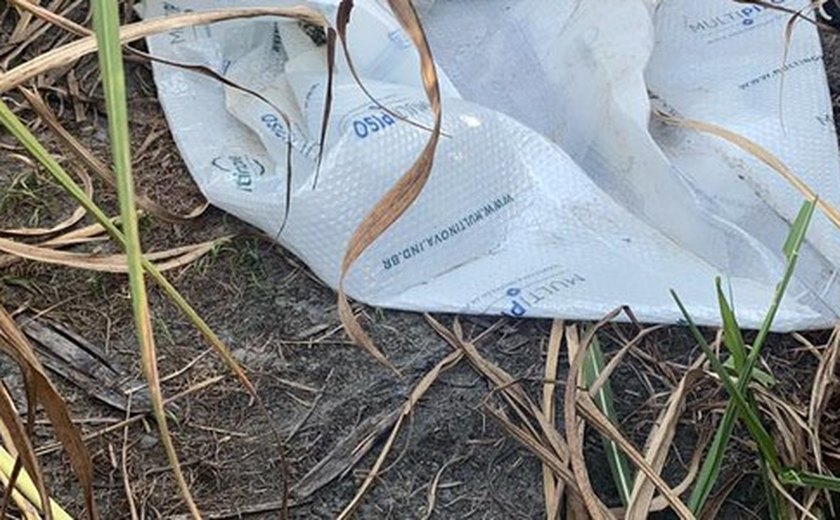 Canavial foi usado para estuprar criança, diz Polícia Civil