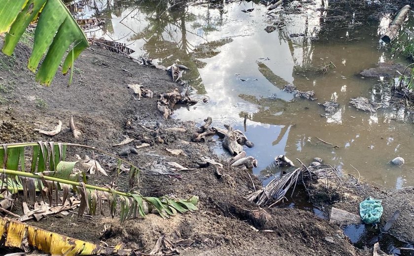 IMA e Batalhão Ambiental flagram abate clandestino de carne em São Luiz do Quitunde