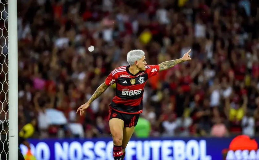 Raio X: Pedro, do Flamengo, e Júnior Santos, do Botafogo, se consolidam entre os maiores artilheiros do Brasil em 2024