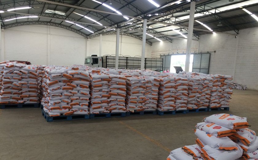 Prefeitura de Palmeira entrega 24,5 toneladas de sementes na sexta