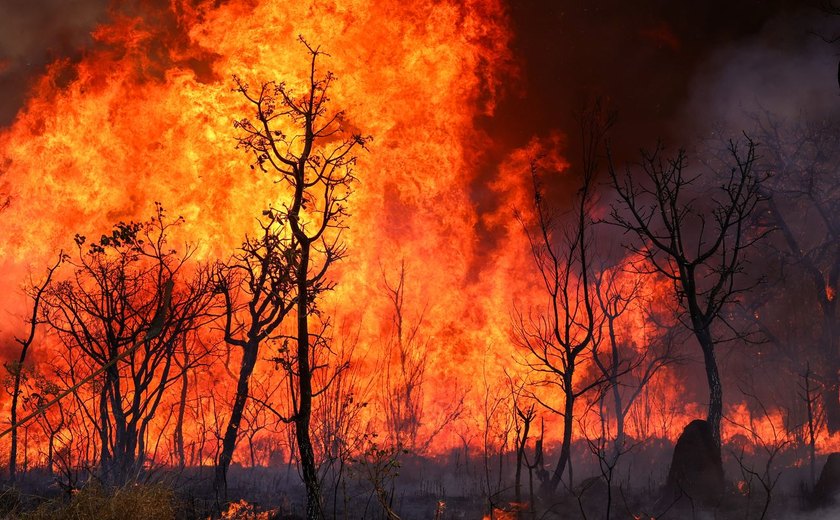 Incêndio de grandes proporções atinge Vila dos Pescadores, em Cubatão