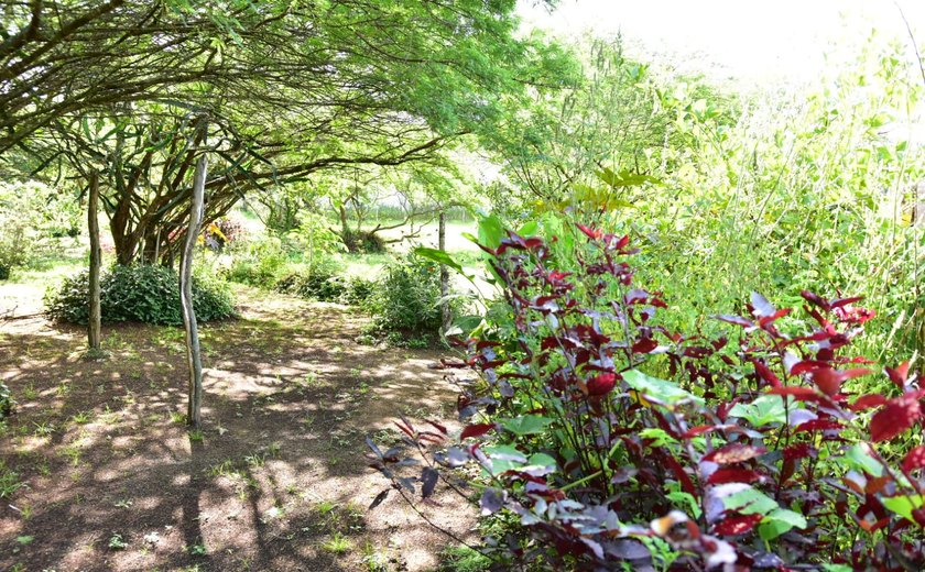 Conjunto Brisa do Lago recebe, neste domingo (5), o projeto Momento pela Paz