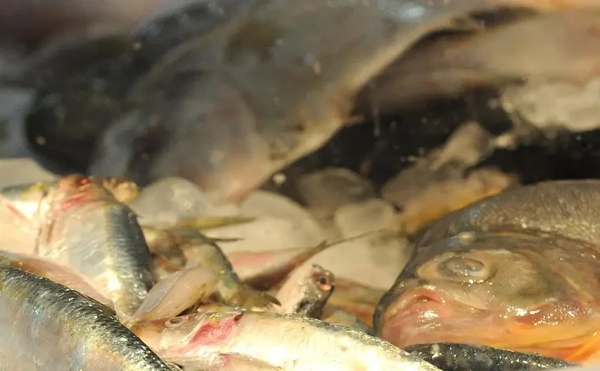 Poluição mata 50 toneladas de peixes no interior de SP; usina é multada em R$ 18 milhões
