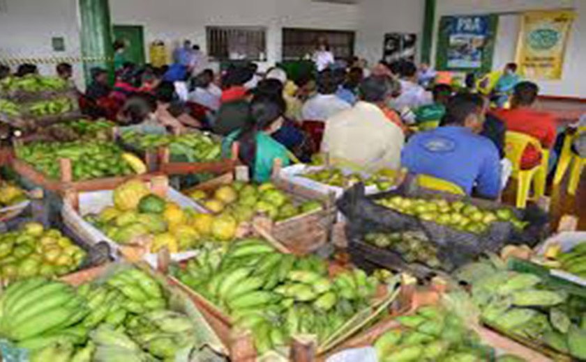 Estado potencializa Programa de Aquisição de Alimentos a 800 famílias