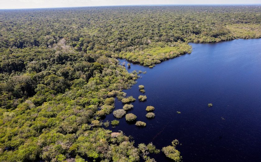 Criação do Museu das Amazônias é lançada em Belém