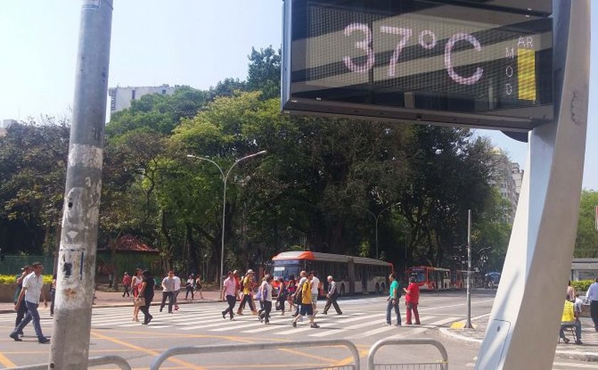 Comissão de Meio Ambiente discute instalação de usina termelétrica no entorno de Brasília