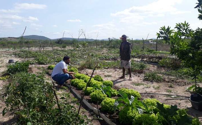 Emater realizou mais de 175 mil atendimentos aos agricultores familiares em 2021
